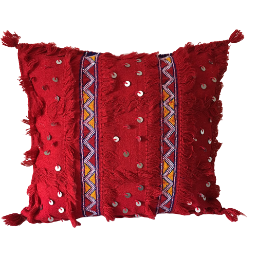 Parisa Handira Vintage Pillow Cover